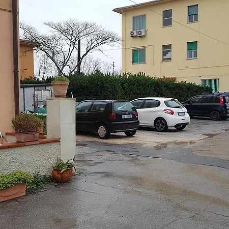 Bernardini *