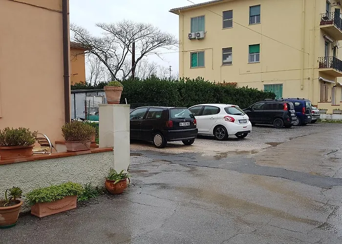Bernardini *